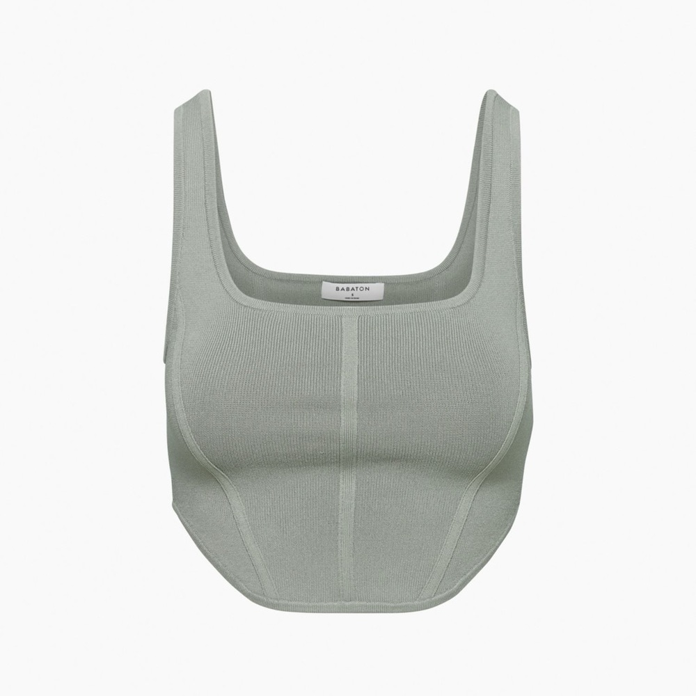 Aritzia (Babaton) Sculpt Knit Bustier Tank